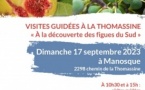 Visites guidées et dégustations "A la découverte des figues du Sud"  gratuit 