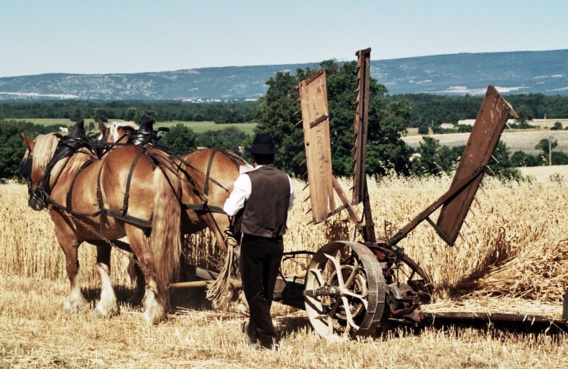 16e Fête des moissons