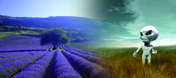 Les ovnis à la fête à Valensole