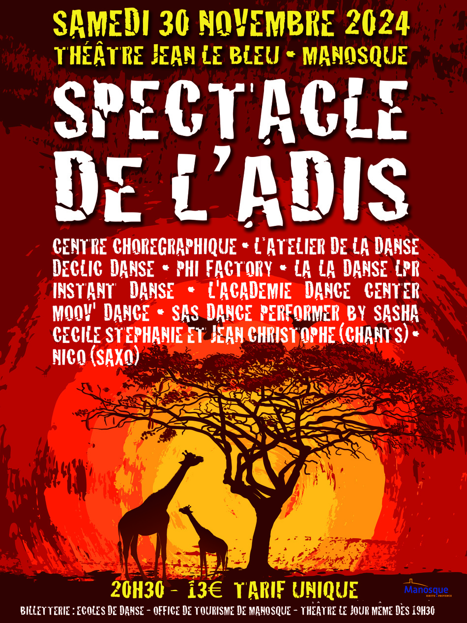 LE SPECTACLE DE L’ASSOCIATION ADIS FÊTE SES 20 ANS  LE 30 NOVEMBRE !