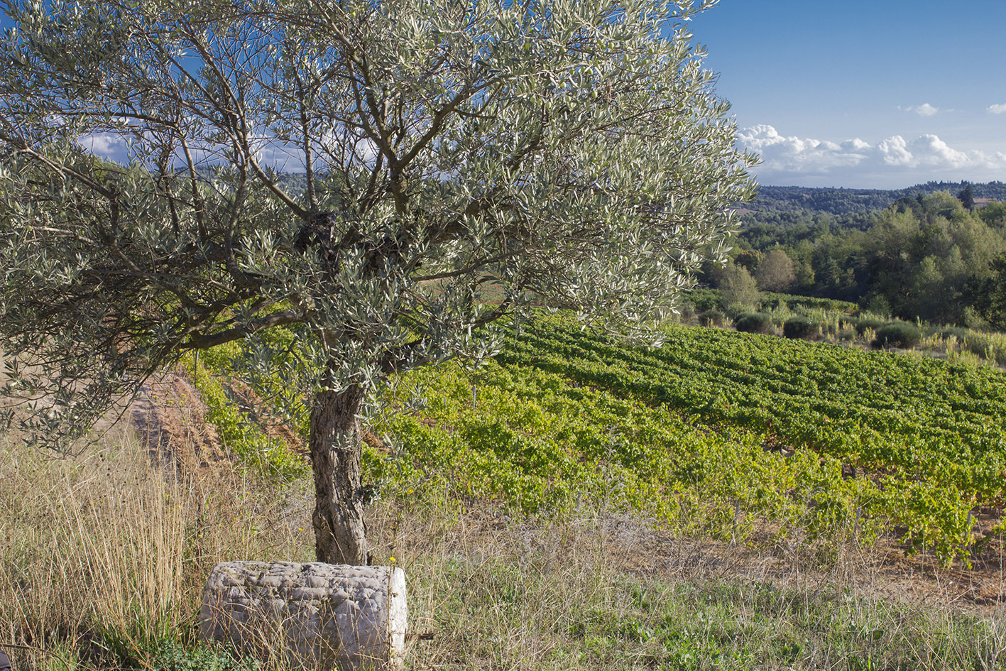 Domaine de Régusse